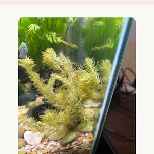 Holly added a photo of their purchase