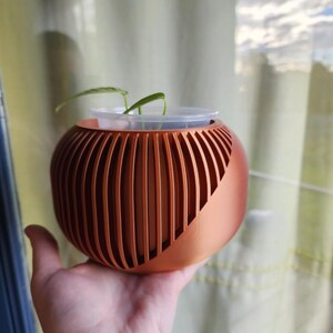 Hannah added a photo of their purchase
