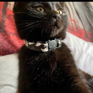 Jade adicionaram uma foto da sua compra