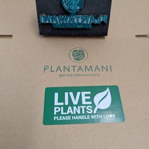 PLANTAMANI added a photo of their purchase