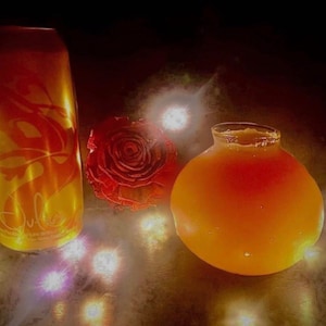 Juice Orb Hazy IPA & Sour Beer Glass 