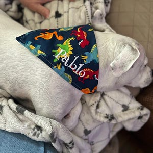 Marta added a photo of their purchase