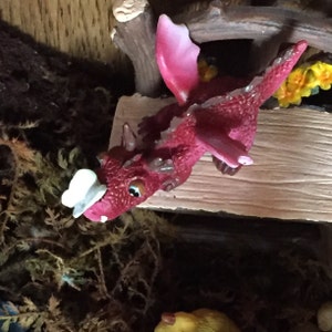 R. added a photo of their purchase