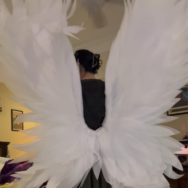 Large Bat Wings | Black Dragon Wings | Bat Wings Cosplay for Halloween ...