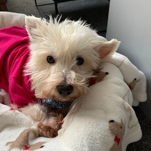 Sophie added a photo of their purchase