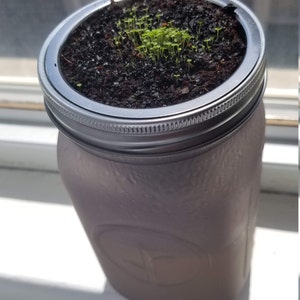 Brian added a photo of their purchase