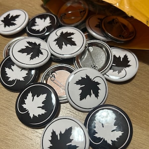 Maples ha añadido una foto de su compra