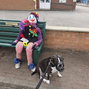 Pete added a photo of their purchase