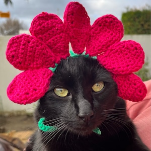 Illana added a photo of their purchase