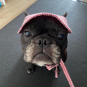 ちゃみぽこ heeft een foto van de aankoop toegevoegd