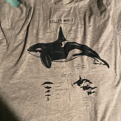 Killer Whale Anatomy T Shirt, Orca T Shirt, Dolphin Shirt, Marine ...
