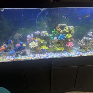 Hugo added a photo of their purchase