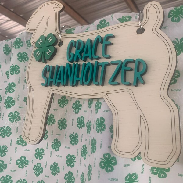 Show Goat Pen Sign, Wood Livestock Show Sign With 3D Raised Letters ...