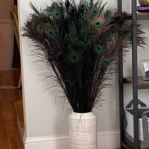 TAYLA added a photo of their purchase