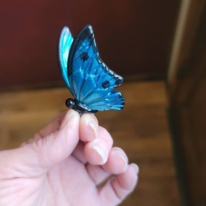 Kim added a photo of their purchase