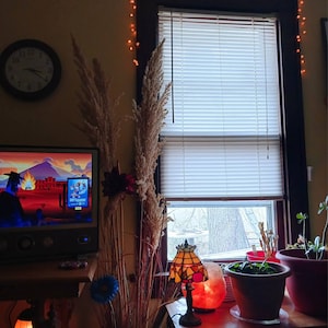 Season added a photo of their purchase