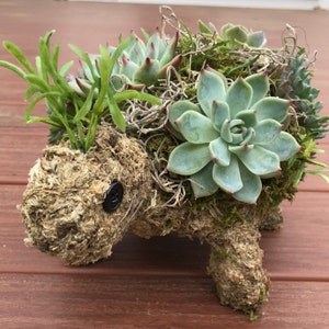 Nicole added a photo of their purchase