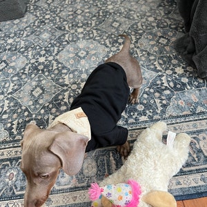 Lyndsie added a photo of their purchase