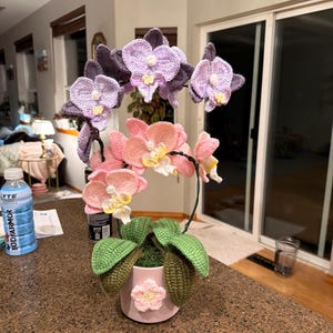 MacKenzie added a photo of their purchase