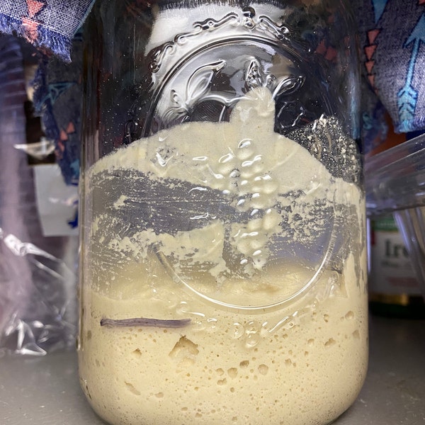 Gluten-Free Sourdough Starter – Whole Grain Wild Culture for Bread & Beyond