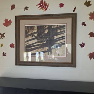 Robin added a photo of their purchase