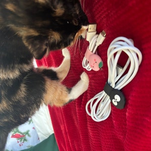 Samantha added a photo of their purchase