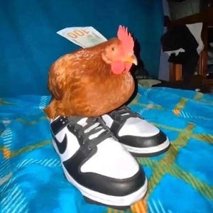 Drake ha añadido una foto de su compra