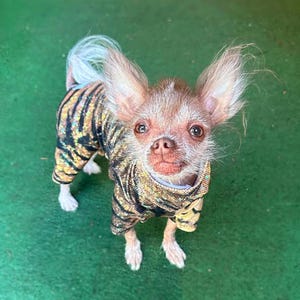 Holly added a photo of their purchase