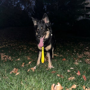 Molly added a photo of their purchase