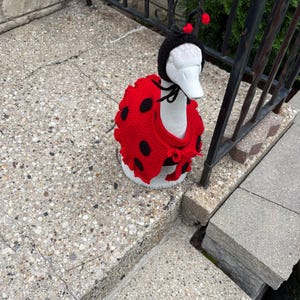 Sheila added a photo of their purchase