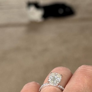 Kate heeft een foto van de aankoop toegevoegd