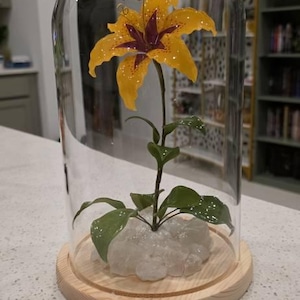 Ashley added a photo of their purchase