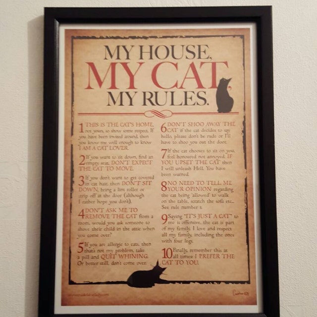 Cartello In Metallo 20x30 Cm "My House My Cat My Rules" Per Parete, Stile Retrò, Decorazione Per Casa, Cucina, Giardino, 4 Fori Per Appendere