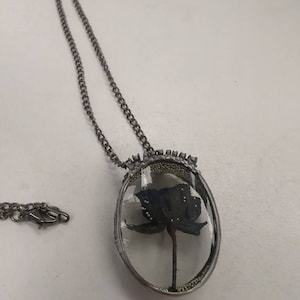 Angela added a photo of their purchase