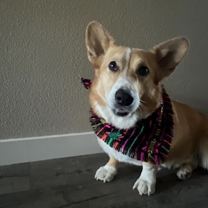 Huckle added a photo of their purchase