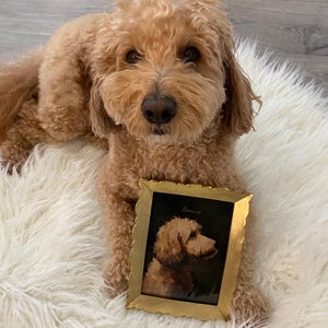 BabicakesCouture added a photo of their purchase