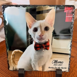 NOREEN added a photo of their purchase