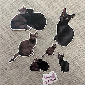 Diana added a photo of their purchase