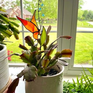 Faith added a photo of their purchase
