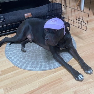 Susann added a photo of their purchase
