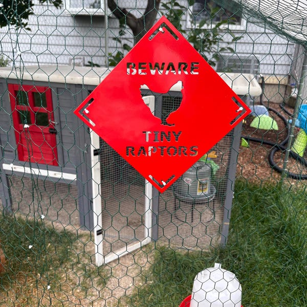 Beware - Tiny Raptors - 18