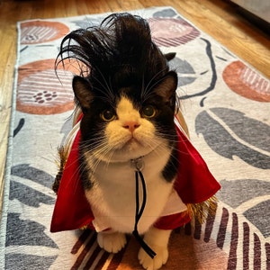 Cat clearance elvis costume