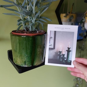 Araani added a photo of their purchase