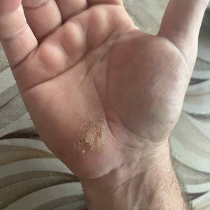 Ralitsa heeft een foto van de aankoop toegevoegd