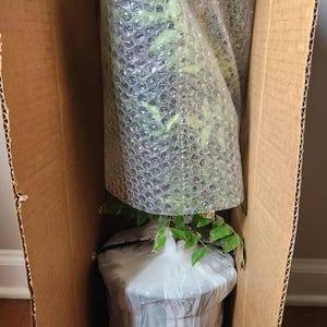 Veena added a photo of their purchase