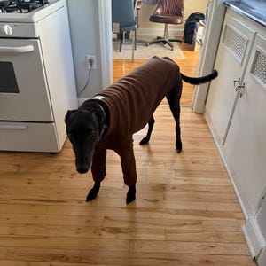 Sarah added a photo of their purchase
