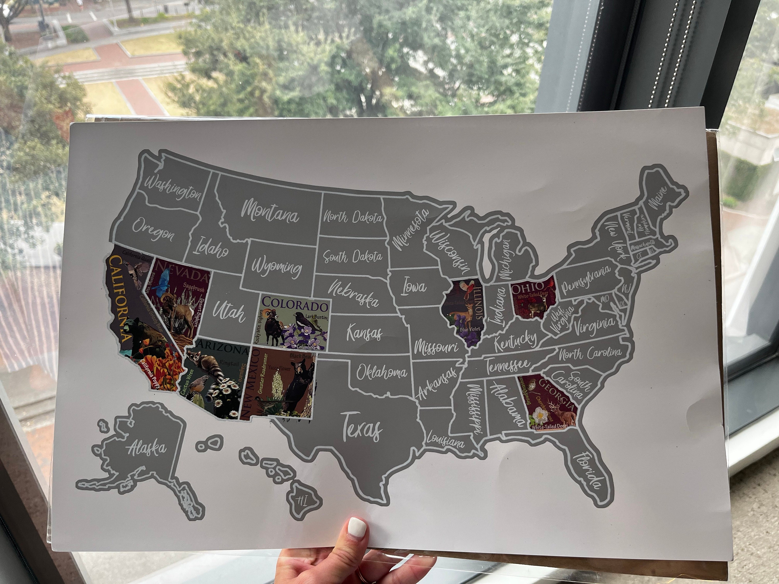 USA Scratch Off Map; State Symbols map; United States Poster; Educational travel scratch off poster; Places Traveled Map; Scratch off poster