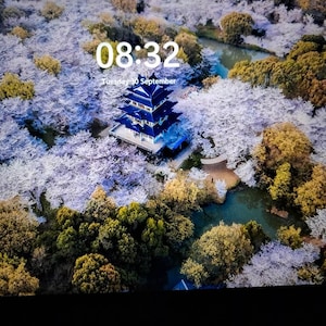Jacqueline ha aggiunto una foto del proprio acquisto
