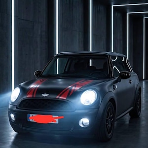 Valgnei added a photo of their purchase