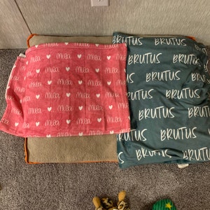 Bridget added a photo of their purchase